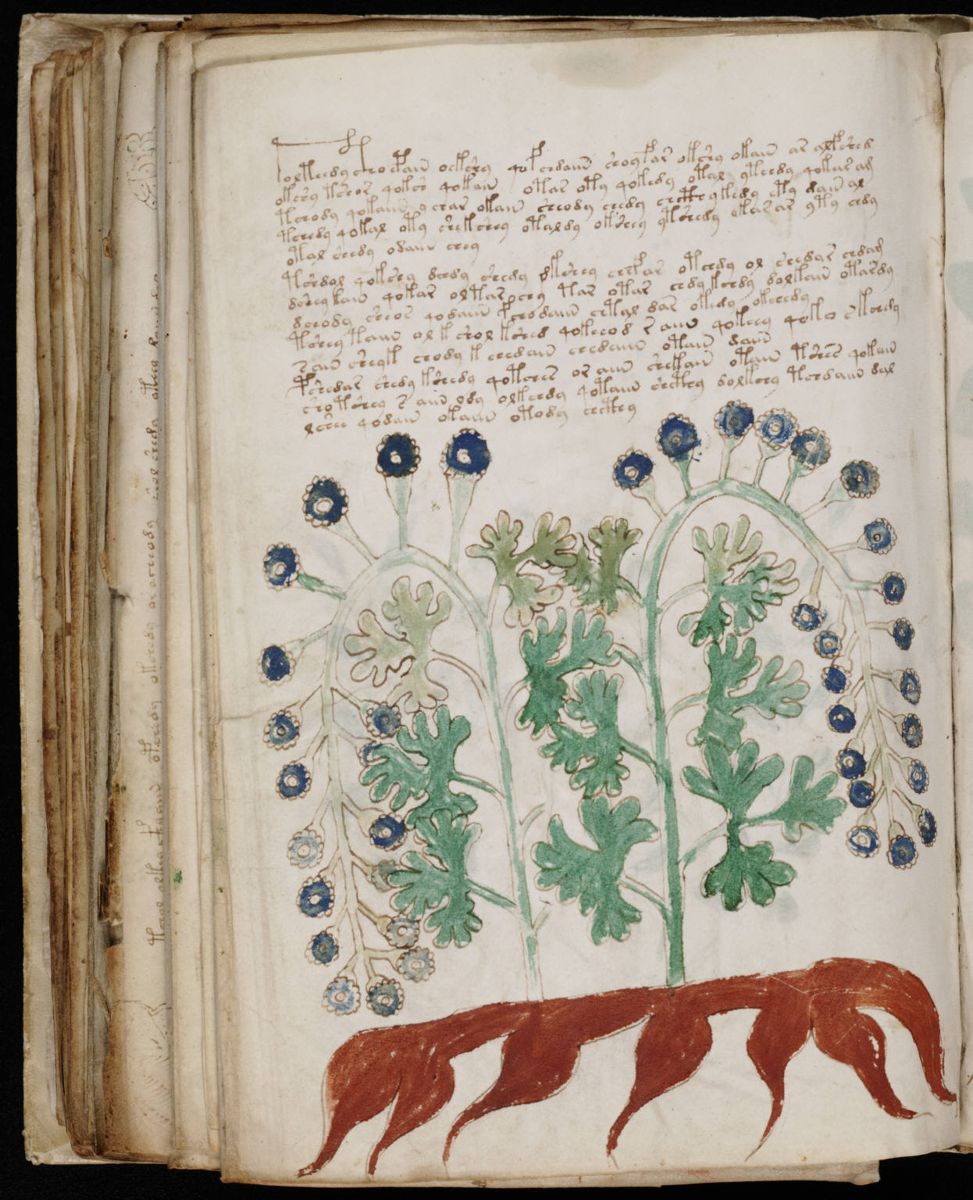 Voynich Manuscript (172).jpg Voynich Manuscript (172).jpg