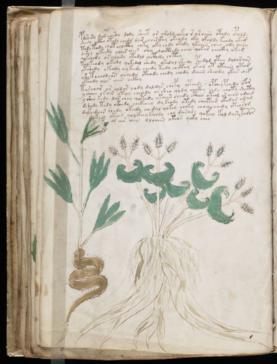 Voynich Manuscript (86).jpg Voynich Manuscript (86).jpg