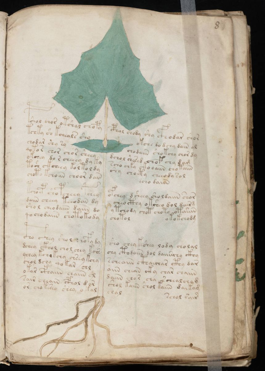 Voynich Manuscript (17).jpg Voynich Manuscript (17).jpg