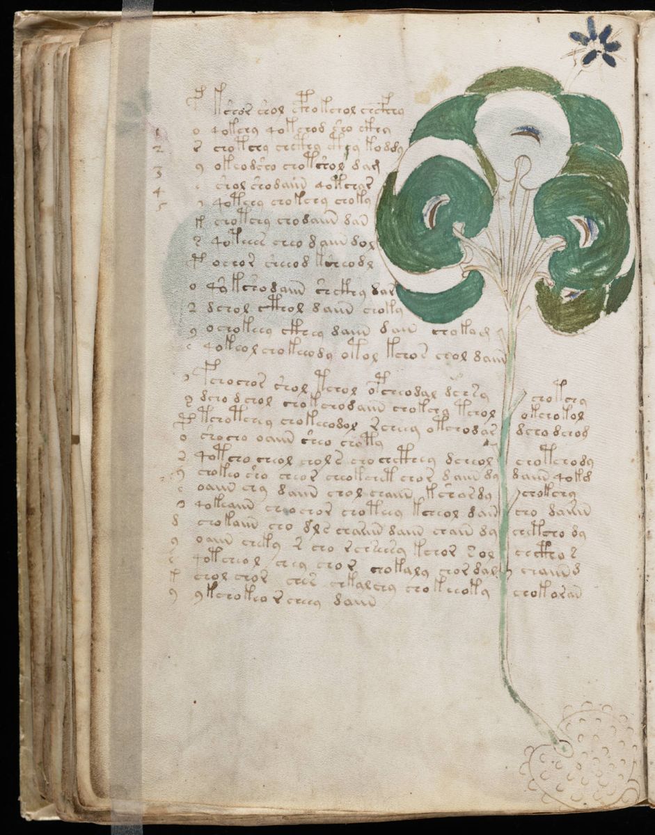 Voynich Manuscript (98).jpg Voynich Manuscript (98).jpg
