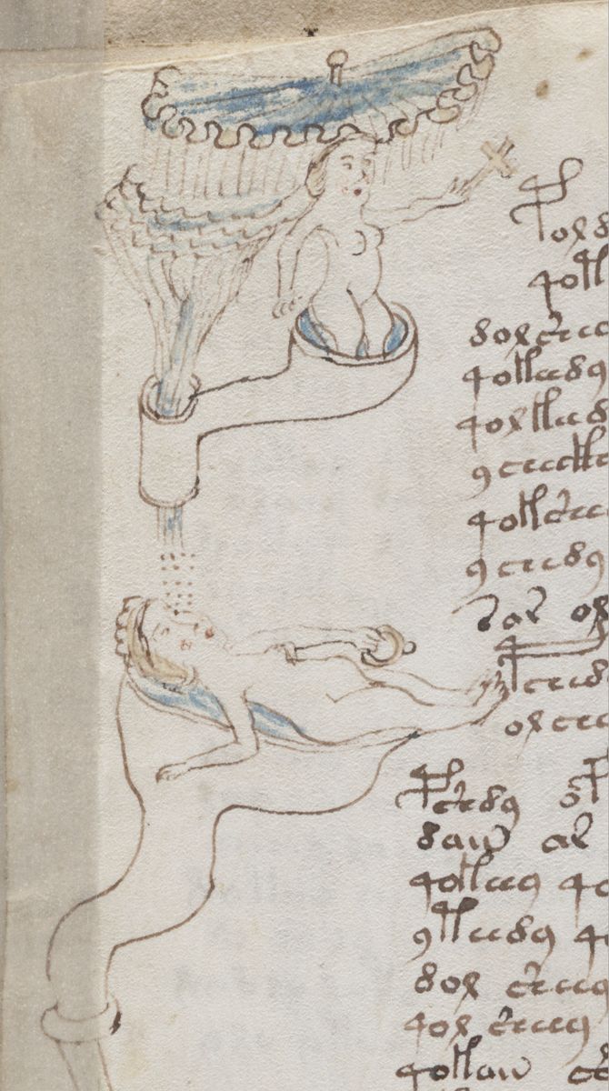 Voynich Manuscript, pulprit detail of f79v.png Voynich Manuscript, pulprit detail of f79v.png
