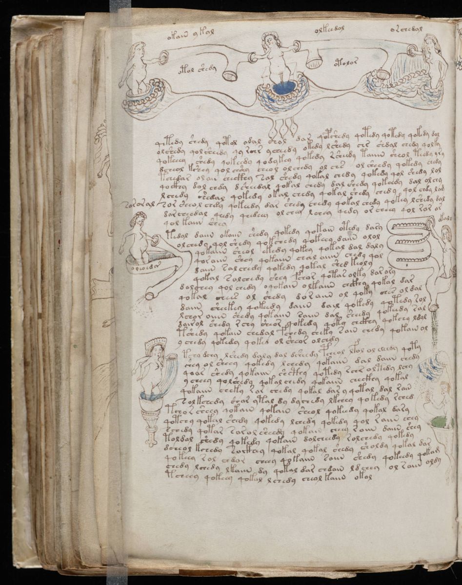 Voynich Manuscript (140).jpg Voynich Manuscript (140).jpg
