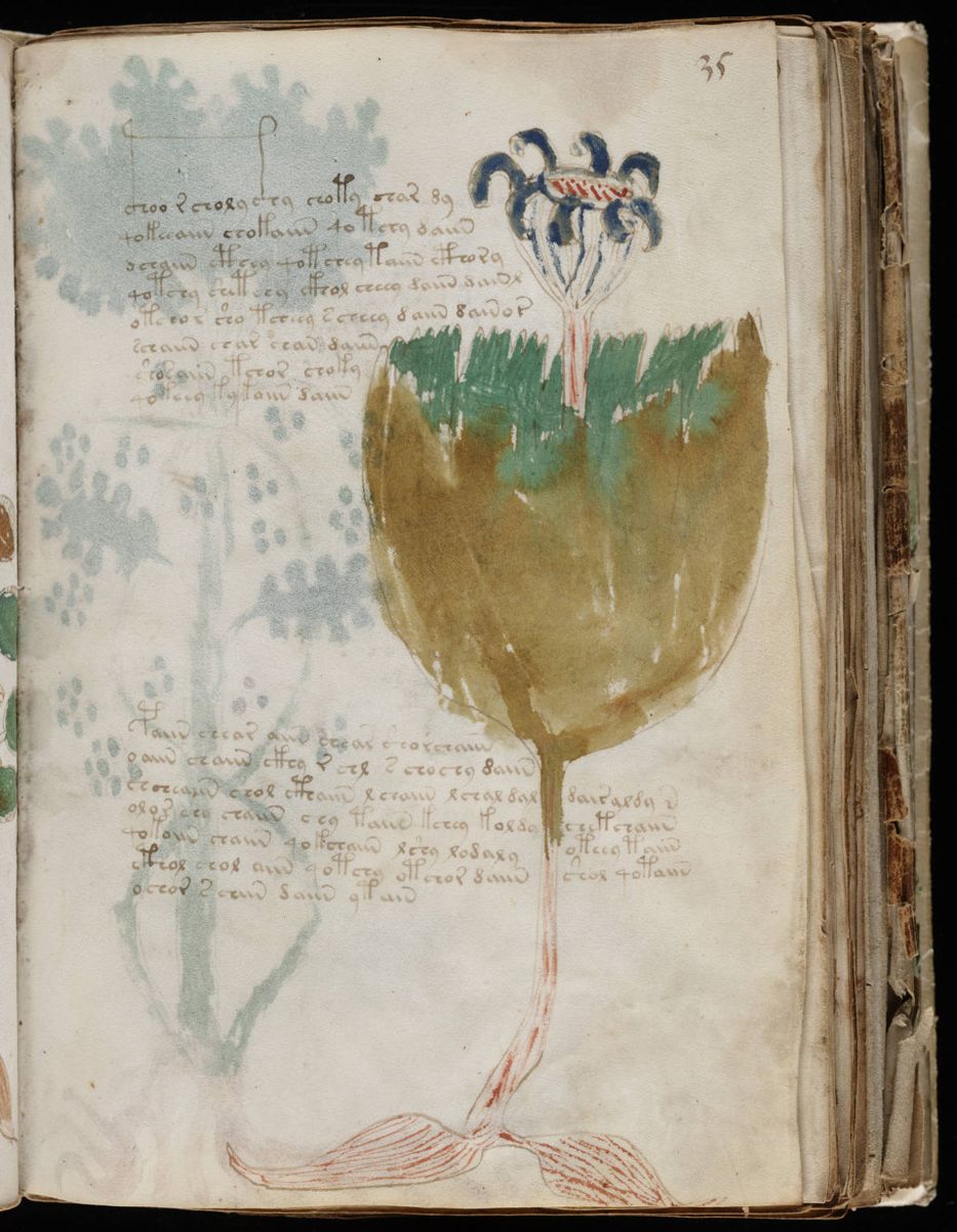 Voynich Manuscript (69).jpg Voynich Manuscript (69).jpg