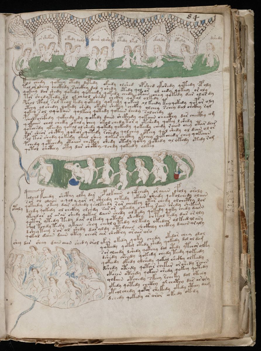 Voynich Manuscript (153).jpg Voynich Manuscript (153).jpg