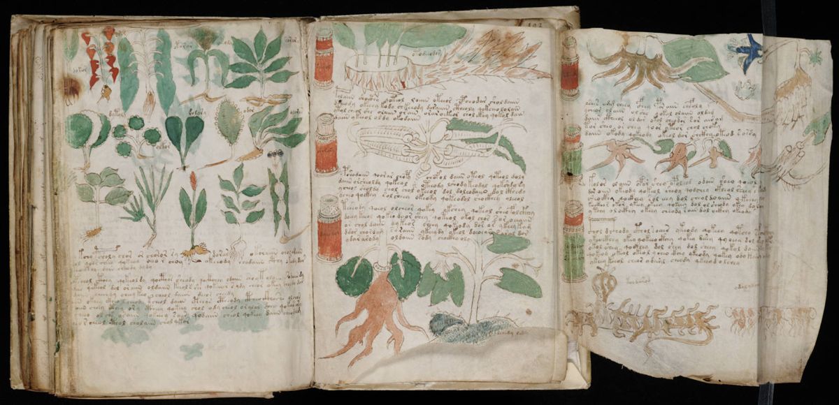 Voynich Manuscript (180).jpg Voynich Manuscript (180).jpg