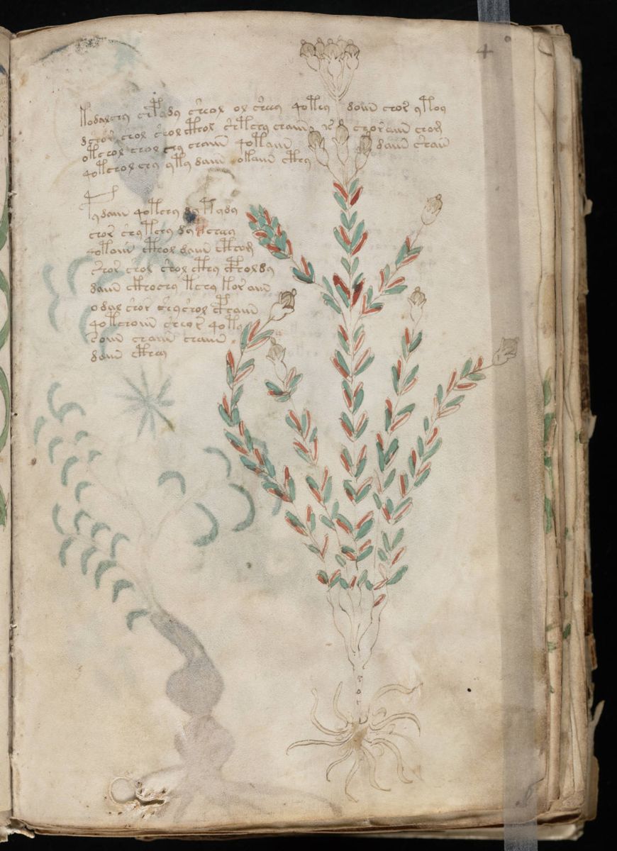 Voynich Manuscript (9).jpg Voynich Manuscript (9).jpg
