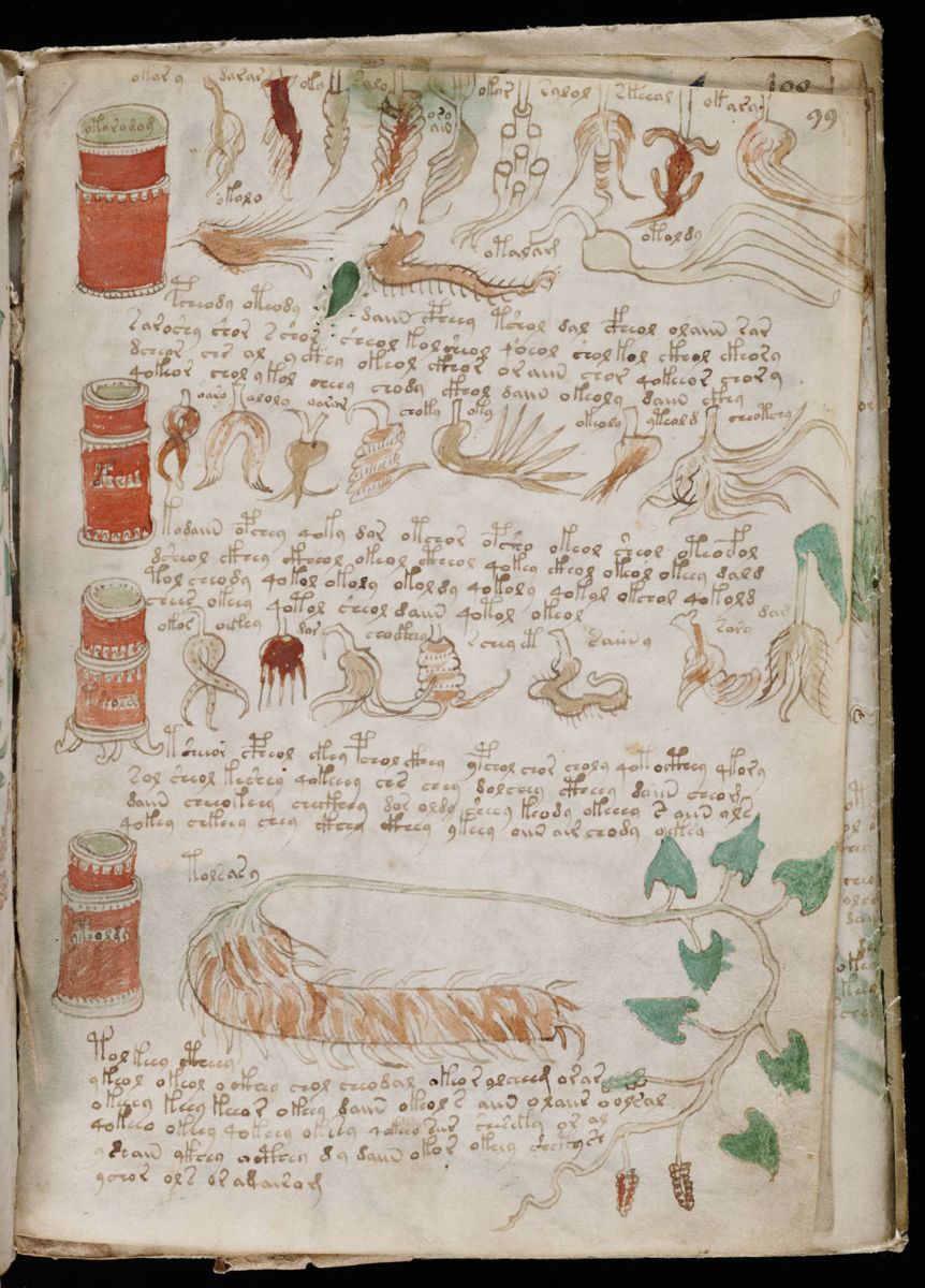 Voynich Manuscript (175).jpg Voynich Manuscript (175).jpg