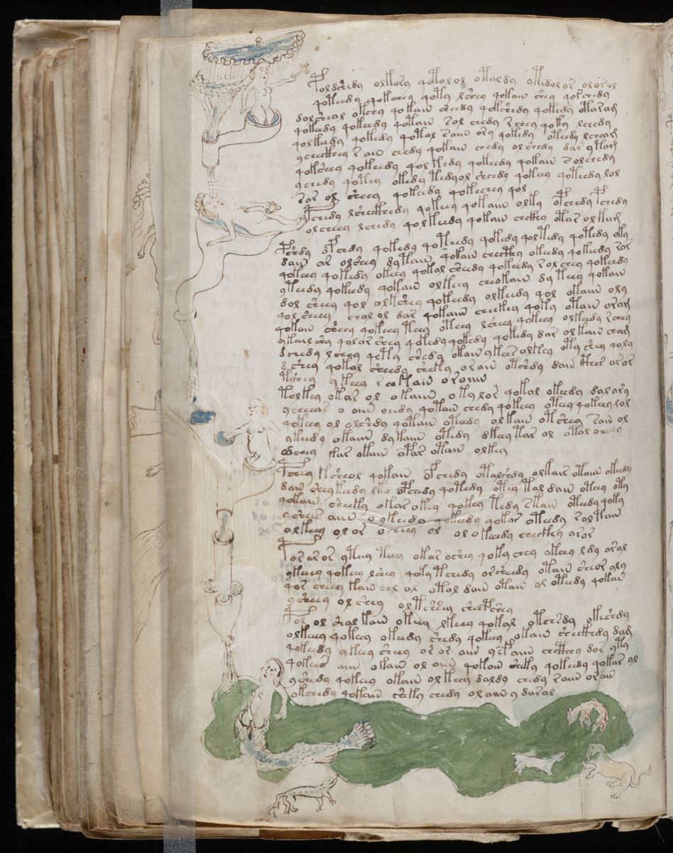 Voynich Manuscript (144).jpg Voynich Manuscript (144).jpg