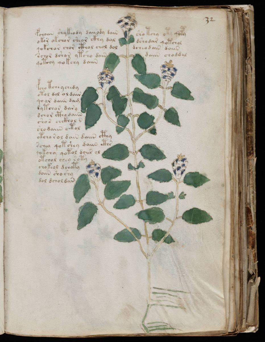 Voynich Manuscript (63).jpg Voynich Manuscript (63).jpg