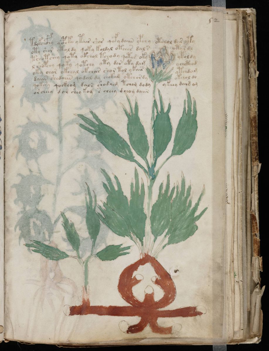 Voynich Manuscript (103).jpg Voynich Manuscript (103).jpg