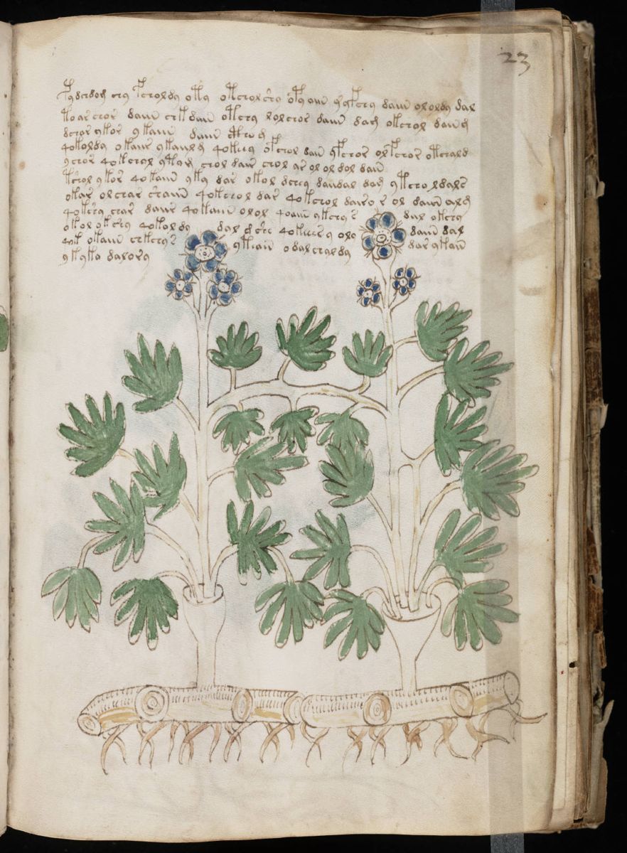 Voynich Manuscript (45).jpg Voynich Manuscript (45).jpg