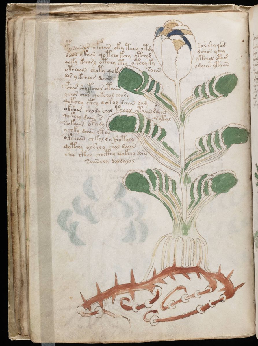 Voynich Manuscript (44).jpg Voynich Manuscript (44).jpg