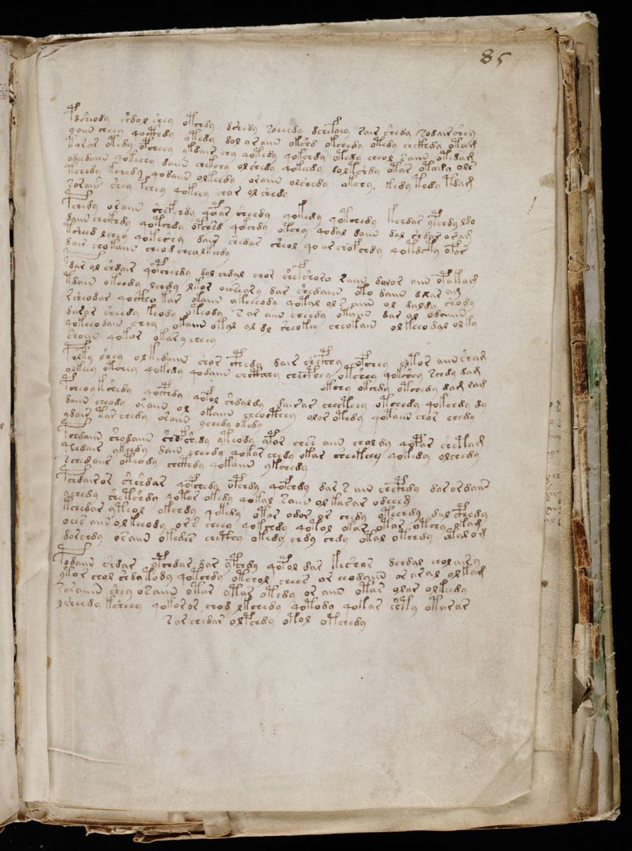 Voynich Manuscript (155).jpg Voynich Manuscript (155).jpg