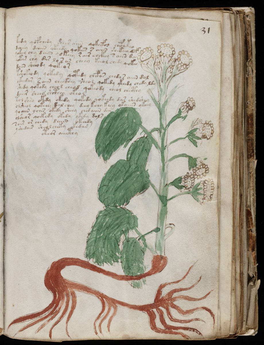 Voynich Manuscript (61).jpg Voynich Manuscript (61).jpg