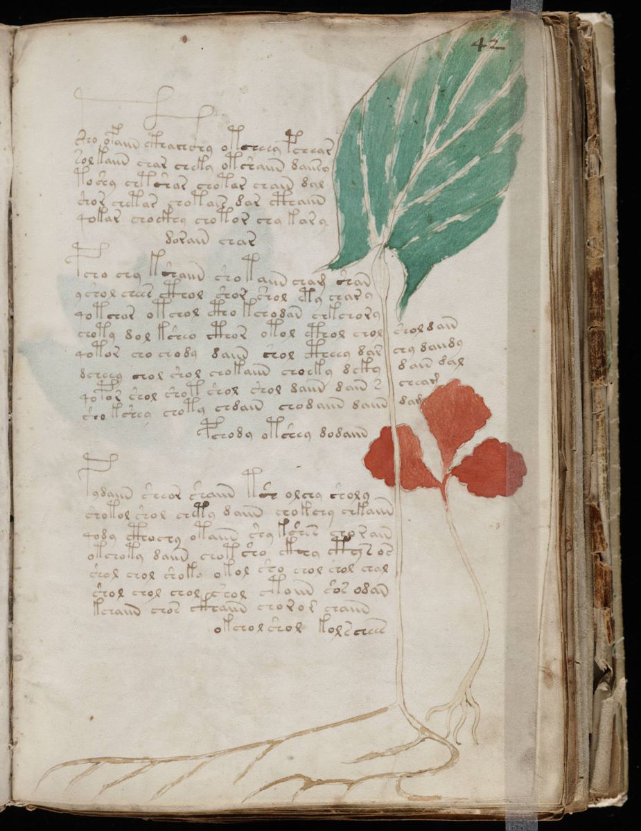 Voynich Manuscript (83).jpg Voynich Manuscript (83).jpg