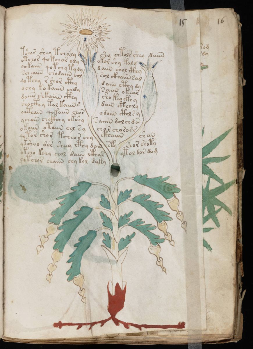 Voynich Manuscript (29).jpg Voynich Manuscript (29).jpg