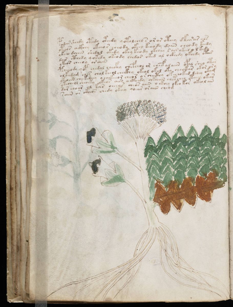 Voynich Manuscript (62).jpg Voynich Manuscript (62).jpg