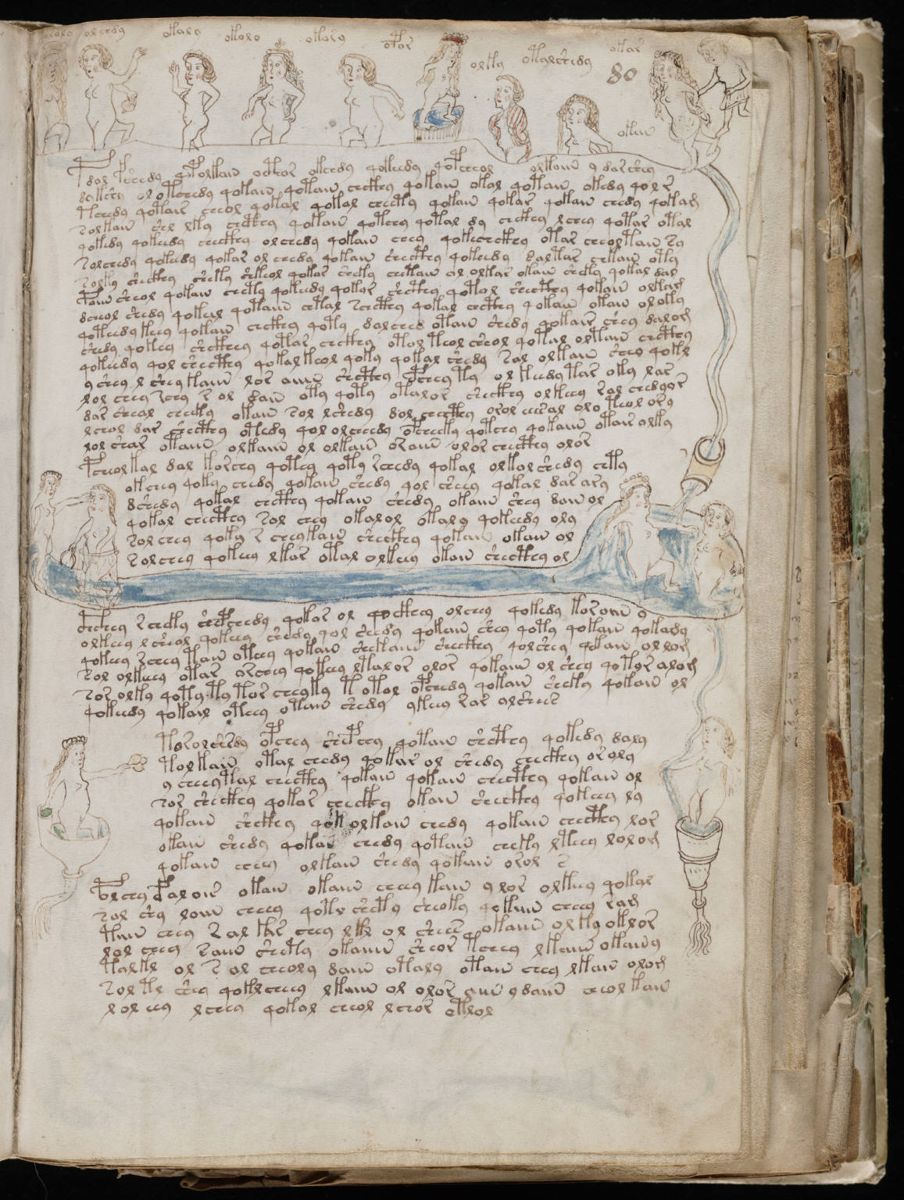 Voynich Manuscript (145).jpg Voynich Manuscript (145).jpg