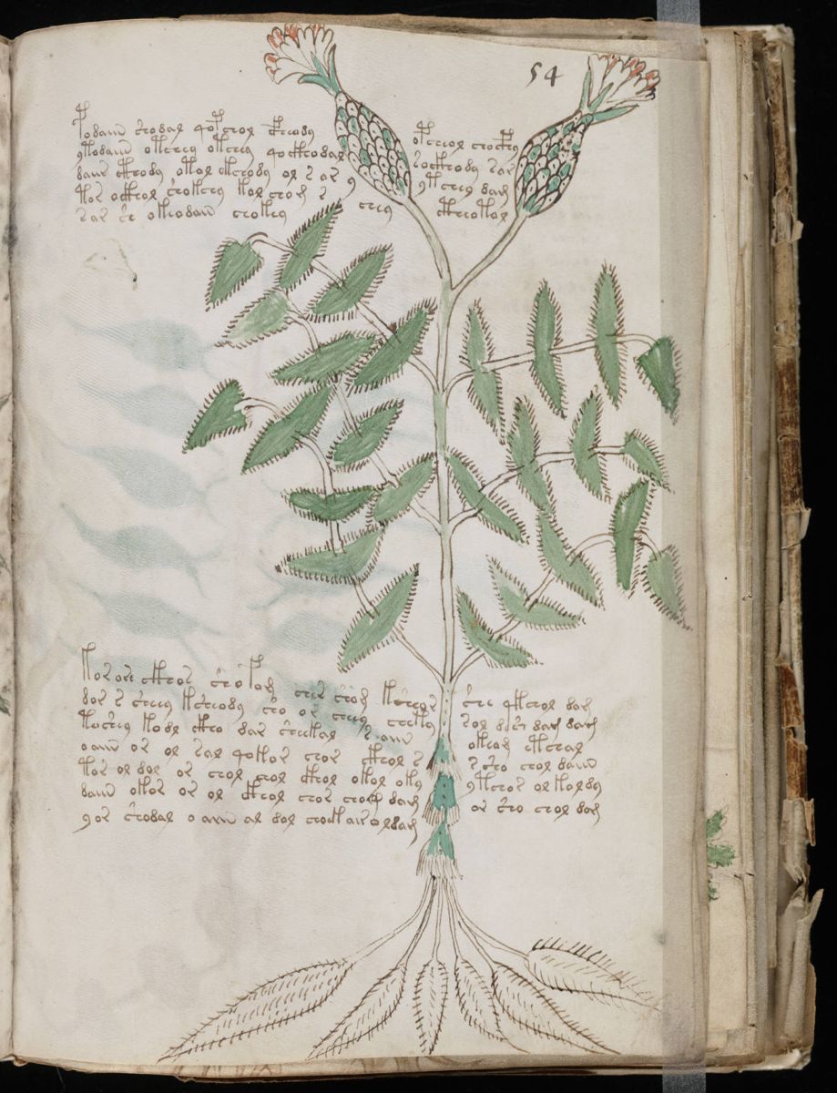 Voynich Manuscript (107).jpg Voynich Manuscript (107).jpg