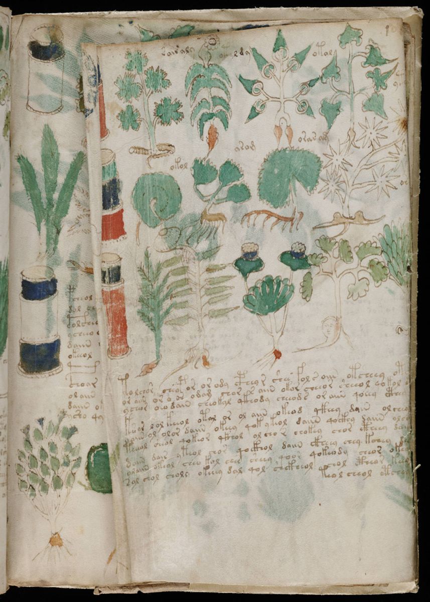 Voynich Manuscript (179).jpg Voynich Manuscript (179).jpg